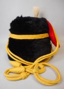A Royal Horse Artillery other ranks busby: with bags , line and plume.