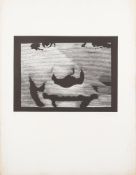 * Ann Thornycroft [b.