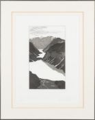 * David Hockney [b.1937]- The Lake,:- etching and aquatint signed in pencil in the margin, No.