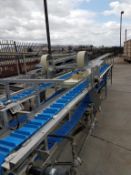 Semi-Automatic Zucchini End Trimmer, with Dual Infeed Conveyor with Flights, Mounted on S/S Frame