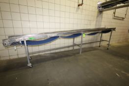 S/S Conveyor, Aprox. 21' L x 24