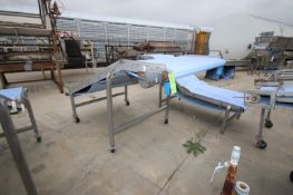 S/S Incline Conveyor, Aprox. 9' L x 50
