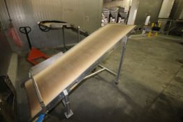 S/S Incline Conveyor, Aprox. 10' L x 32