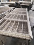 S/S Wire Transfer Conveyor, with Wire Belt, Straight Section