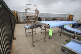 S/S Infeed Conveyor, Aprox. 10' L x 32
