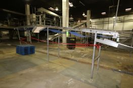 S/S Discharge Conveyor, Aprox. 23' L x 30
