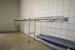 S/S Conveyor, Aprox. 20' L x 18