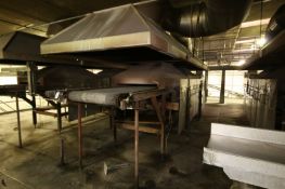 Natural Gas Fire Roaster #5, with Aprox. 33