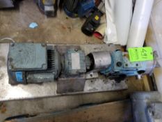 Positive pump; 1 1/2