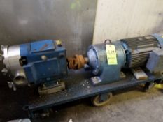 Positive pump; 2 1/2