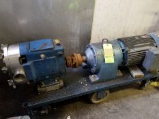 Positive pump; 2 1/2