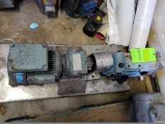 Positive pump; 1 1/2