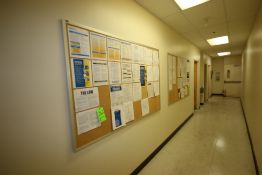 Cork Boards, Aprox. 72