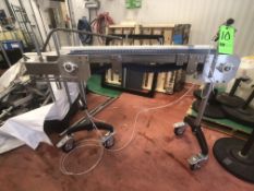 S/S Portable Product Conveyor, (2) Approx. 4' L x 4