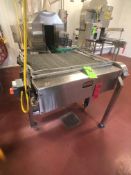 Arrowhead Conveyor 3' W x 28