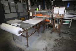 Automatic Inspection System Bagger, M/N 268-GD, S/N 1035-87, with (2) Allen Bradley SLC 100