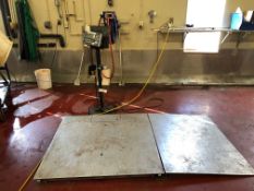 Mettler Toledo S/S Floor Scale with Ramp, M/N IND246, S/N B608126792, with 48