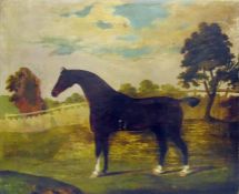 19th century English school Oil on canvas Study of horse in paddock, 50cm x 61cm (unframed)