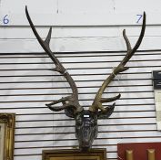Wall-mounted carved wooden deer's head with large faux antlers (VAT payable on hammer)