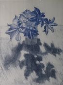 Tessa Beaver (1932) Limited edition colour print  