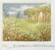 Helen Hanson  Limited edition etching & aquatint, 