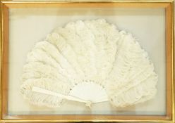 Cream ostrich feather and bone fan, framed