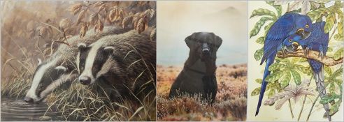 After Ian Nathan  Limited edition colour print 0 