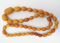 Amber graduated bead necklace, the largest bead approx 3cm long