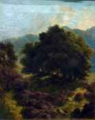 Oil on canvas Woodland scene with deer in the fore