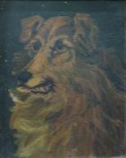 Late 19th/early 20th century  Oil on panel  Study