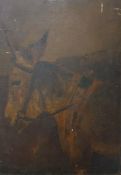 Late 19th / Early 20th Century School Oil on canvas Study of a Donkey, unsigned, together with