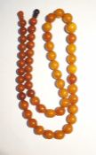 Graduated single row of amber beads, 76cm long, la