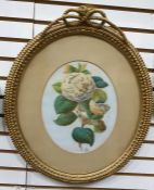 Watercolour drawing unattributed monogrammed JG, study of white rose in ornate gilt rope husk and