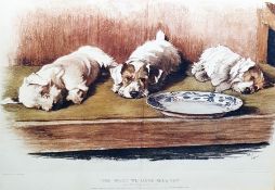 After Cecil Aldin Colour print  