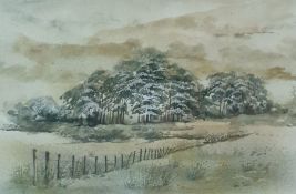 Trudi Finch (20th Century) Watercolour 'A Green Day' signed lower right, bears label verso 25.5 x 35