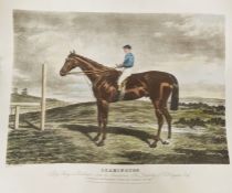 Colour print of race horse 