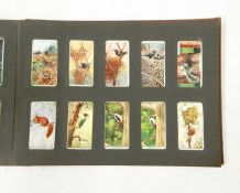 Large quantity of cigarette cards in albums