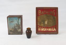 Taxidermy display of butterflies mounted on foliage, within a glazed wooden case, 16.5 x 22cm,