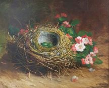 Abel Hold (1815-1891) Oil on board Study of birds' nests with eggs and pink blossom, signed and