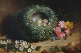 Abel Hold (1815-1891) Oil on board  Study of bird's nest with speckled eggs, white blossom and