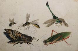 Pair chinese watercolours on rice paper - insects and a junk ( 2)