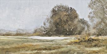 Pamela Cook Oil on board Country landscape, signed lower left, 29 x 59cm