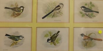 After Anne Pratt Coloured engravings , Birds, fram