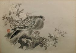 Bird studies Pen and wash Chinese characters, vari