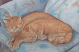 Quantity of framed watercolours and pastels including studies of cats, still lifes, floral