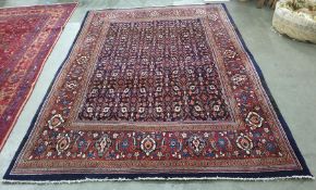 Blue ground rug with allover foliate decoration, on a stepped border, 224cm x 315cm