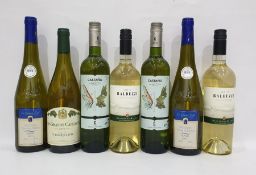 Seven bottles of assorted white wine to include Castno Ecologico Macabeo Organic 2016 and Balduzzi