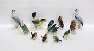 Twelve Karl Ens porcelain model birds to include: toucan, owls, budgerigar and othersCondition
