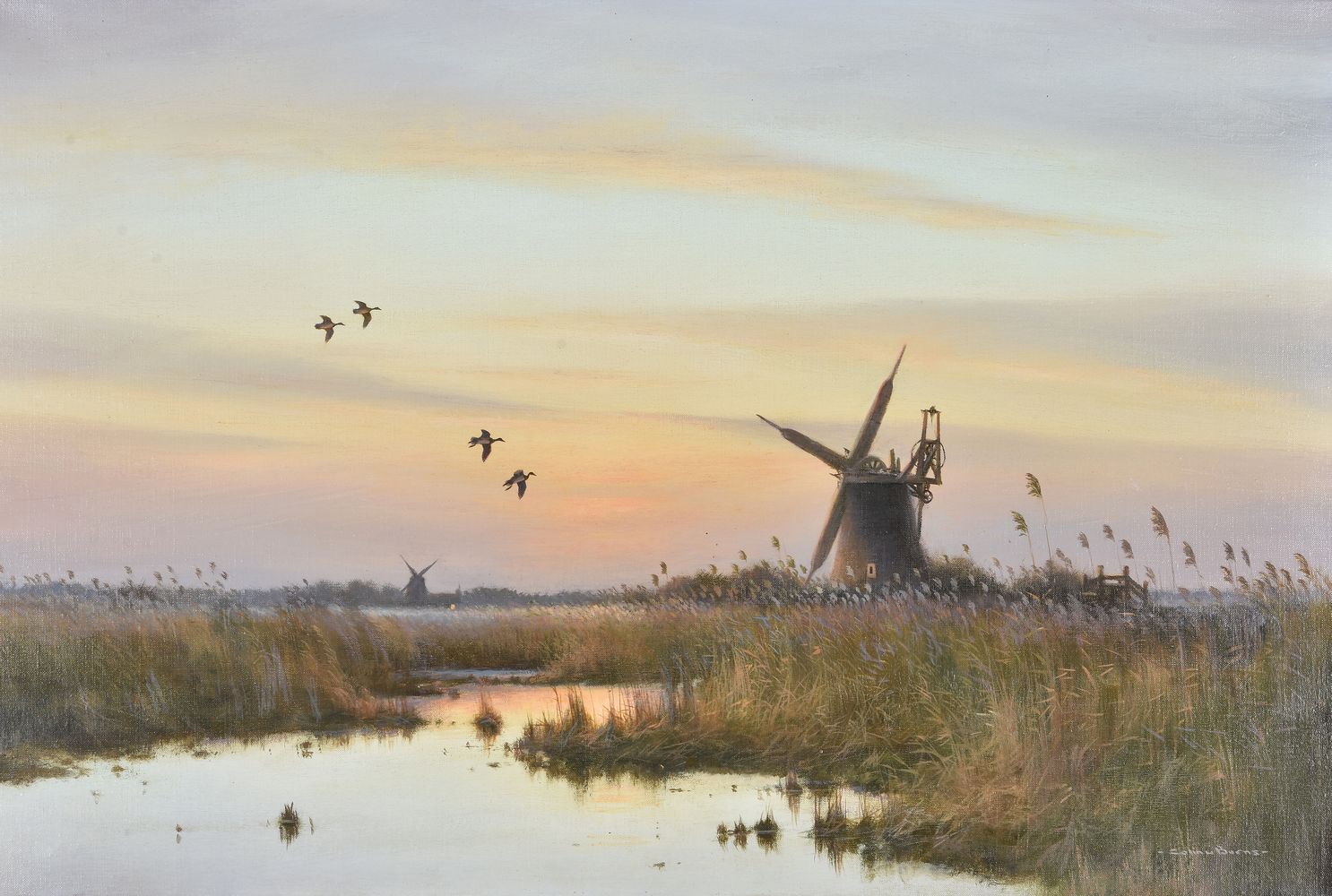 Sir Colin W. Burns (British b.1944), The Flooded Marsh,Runham