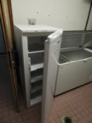 *Beko Single Door Upright Freezer